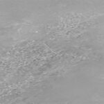 Ciment ARMONIA DI PIETRE GRIGIO